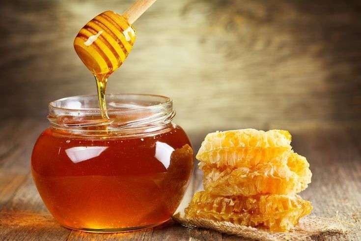 Madu Hutan Alami